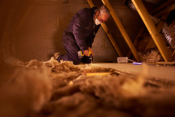 Types of Insulation We Offer in Andrews Af, MD