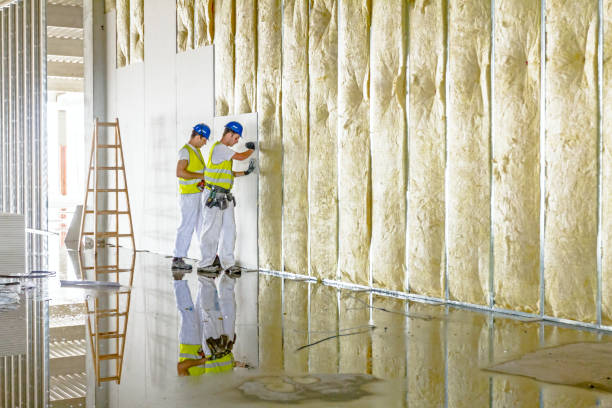 Types of Insulation We Offer in Andrews Af, MD